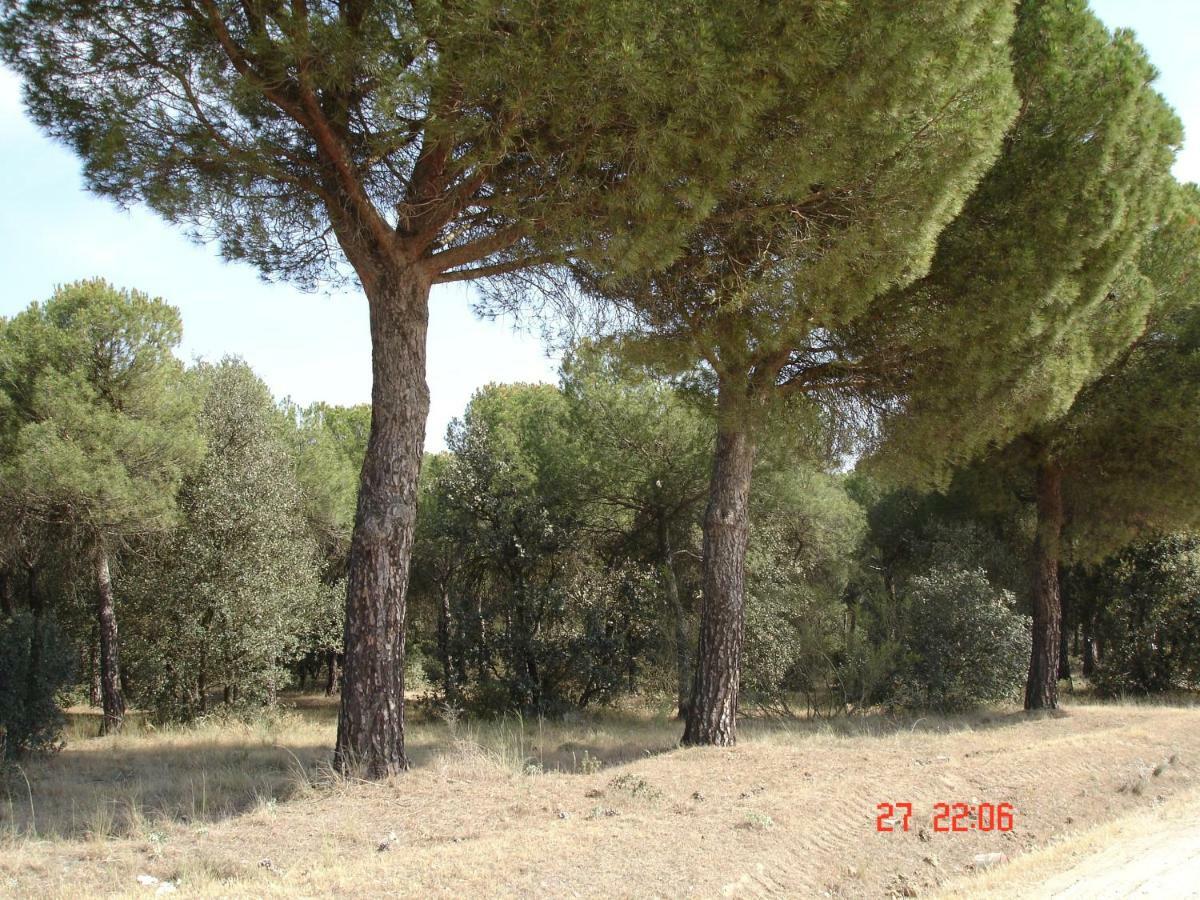 Villa Casa Ana Villamarciel Esterno foto